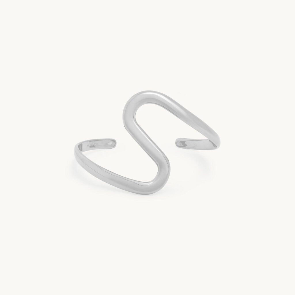 ShapeofWaterSilver1